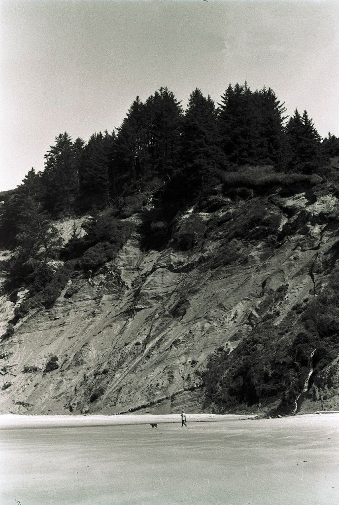a black and white image of a steep sandy cliff with dark pine trees at the top and a small figure of a person walking a dog at the bottom.